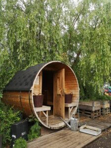 Dom drewniany całoroczny - jak zbudować? Poznaj plusy i minusy domów z drewna